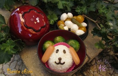 Bento chien