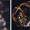 L’activation de notre mémoire ancestrale lémurienne