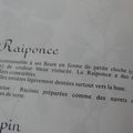 Raiponce ou la fin d'un mythe