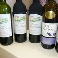 Domaine Les Sadons (Pauillac) : dégustation en semi-aveugle d'une verticale : fin