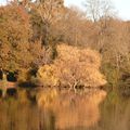 L'automne en bordure d'Essonne