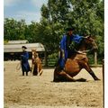 Budapest la tradition cosaque, le dressage des chevaux