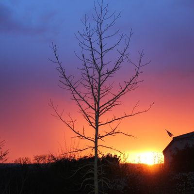 réouverture du blog