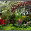 Des couleurs au jardin...