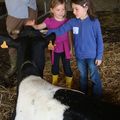 Sortie scolaire à la FERME DU GUERNO