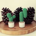 Les Doux Cactus de Charlotte
