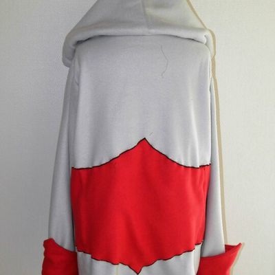 Un sweat style Assassin's creed