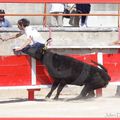 Arènes de St-Rémy de Provence Samedi 16 Avril