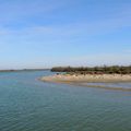 Croisière sur le petit Rhône