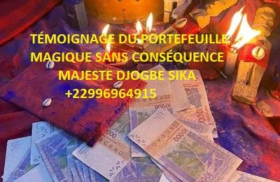 TÉMOIGNAGE DU PORTEFEUILLE MAGIQUE SANS CONSÉQUENCE