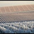 L'hiver s'installe en Bourgogne