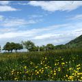 au bord des pré-Alpes