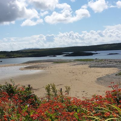 Prochainement, sur votre blog préféré...