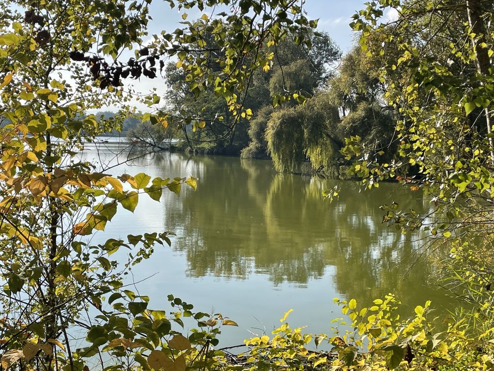 Mardi 14 octobre 2025 : j'ai fait découvrir cet Etang des Martailles (Martres d'Artière, 63430 Martres d'Artière) à Marike , nous en avons fait le tour , moi j'y viens souvent  mon diapo s'en suit , mes photos datent du 11 oct 2025