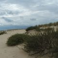 Le Cap Ferret (Gironde)