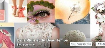 Une page Facebook pour le blog et mon défi verniesque