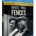 Revue de DVD sorties juillet 2017 : Chronique d'un amour, Fences, A ceux qui nous ont offensés, Go Fish, Beyond Flamenco