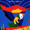 LE LINGUISTE ÉTAIT PRESQUE PARFAIT - David CARKEET