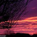 Le soleil embrase le ciel du Loiret au petit jour...