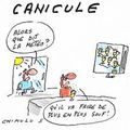 Canicule