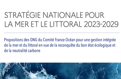 La Stratégie nationale Mer et Littoral 2 : les propositions des ONG
