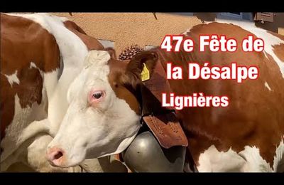 Il automne - Des vaches, des vaches...