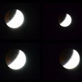 Eclipse du 21 janvier