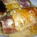 ENDIVES AU JAMBON ...A LA MIJOTEUSE
