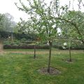 Travaux au jardin des Harmonies le 10 mai 2014