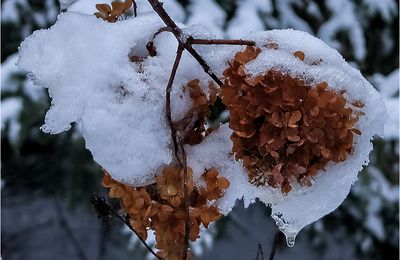 Carnet de voyage - une grande balade mais deux photos seulement + modem