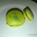 Macarons kiwi