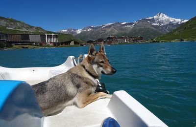 PEDALO