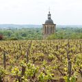 Vins de gastronomie, les Vouvray effervescents et tranquilles