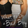  What to Do with a Bad Boy (The McCauley Brothers #4) by Marie Harte