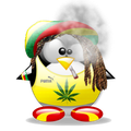 pouic-pouic Rasta