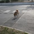 2e arrêt, devant l'entrée du parking. Chacun