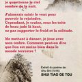 Splendeur et tremblements (12)