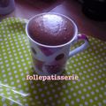 Mon premier mug cake ( au nutella )