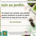 👨‍🌾 Juin au jardin par paysagiste Pays basque et Paysagiste Landes.