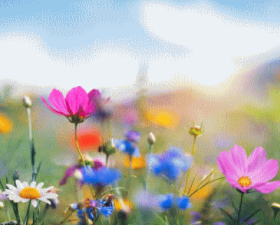 🌷🌈Journal printanier 🌱🌸