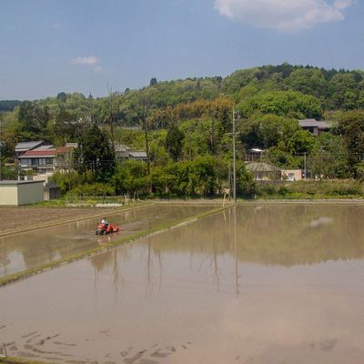Direction les Alpes japonaises et visite de la ferme de wasabi d'Azumino (安曇野市)