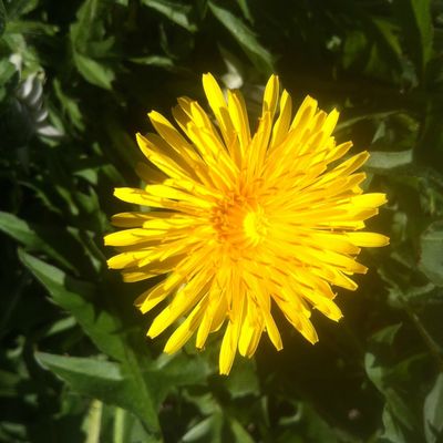 Une heure printanière entre thermos et lavoir