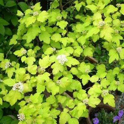 Dernier jour de mai...