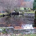 Château de Banizette : historique, botanique et... pique-nique