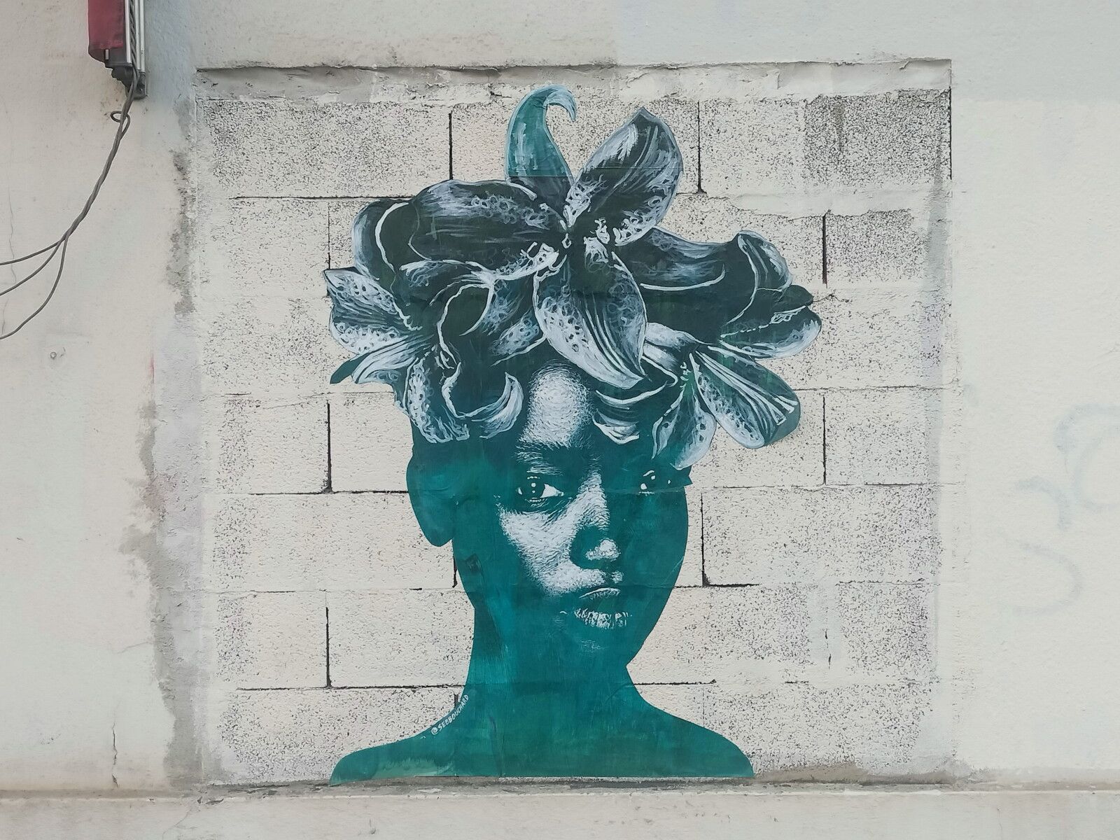 Bayonne, rue Sainte Ursule, Sébastien Bouchard (64)