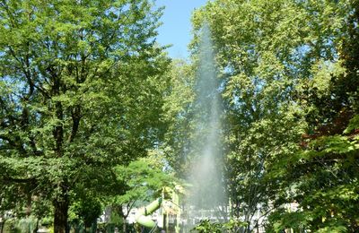 UNE NOUVELLE PHOTO...