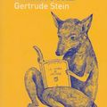 lecture G.Stein