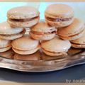 Macarons spéculos