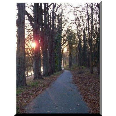 Christina Previotto nous présente son nouvel ouvrage : "Alternance d'ombres et de lumières" 