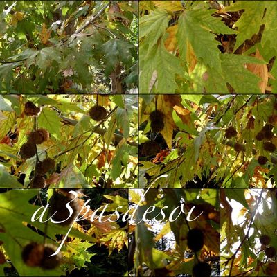 la Grèce autrement en automne